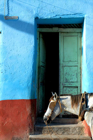 Casa Mendoza - Trinidad 2004